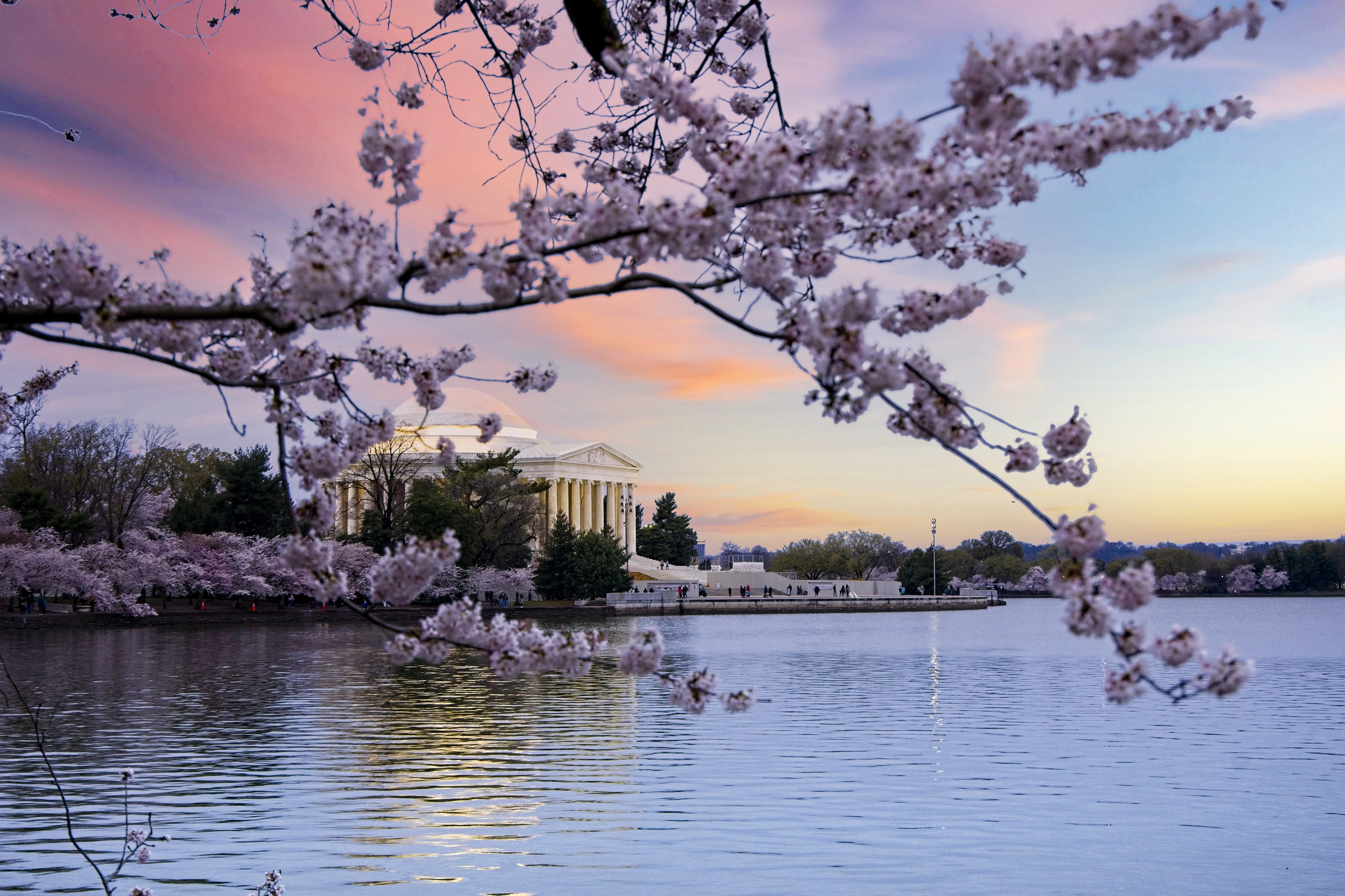 Tidal Basin @ Washington DC (March 2023)